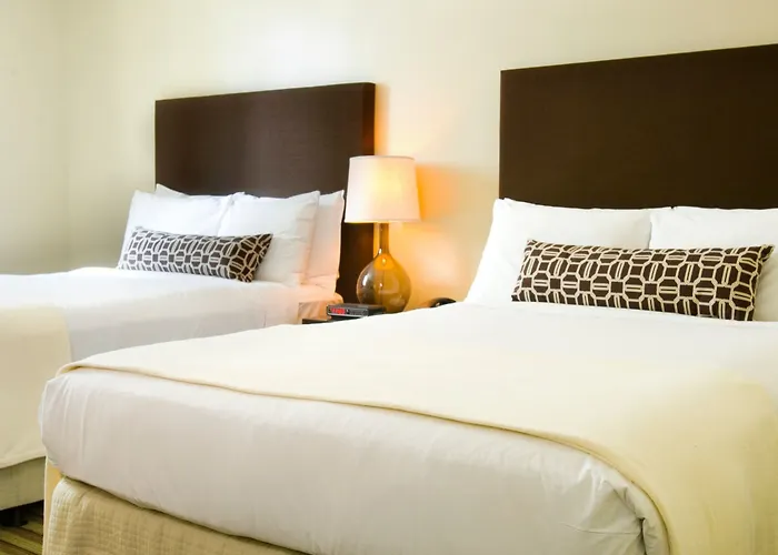 Of Hotel Chicago
